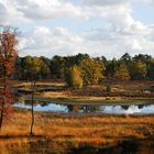 Naturlandschaft Maasdünen