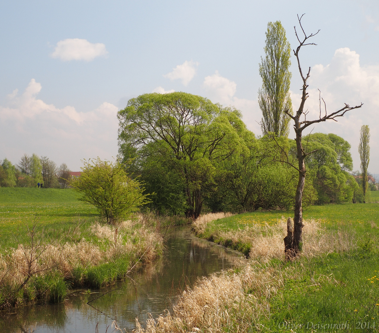 Naturlandschaft Schwalmstadt 2