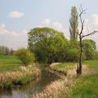 Naturlandschaft Schwalmstadt 2