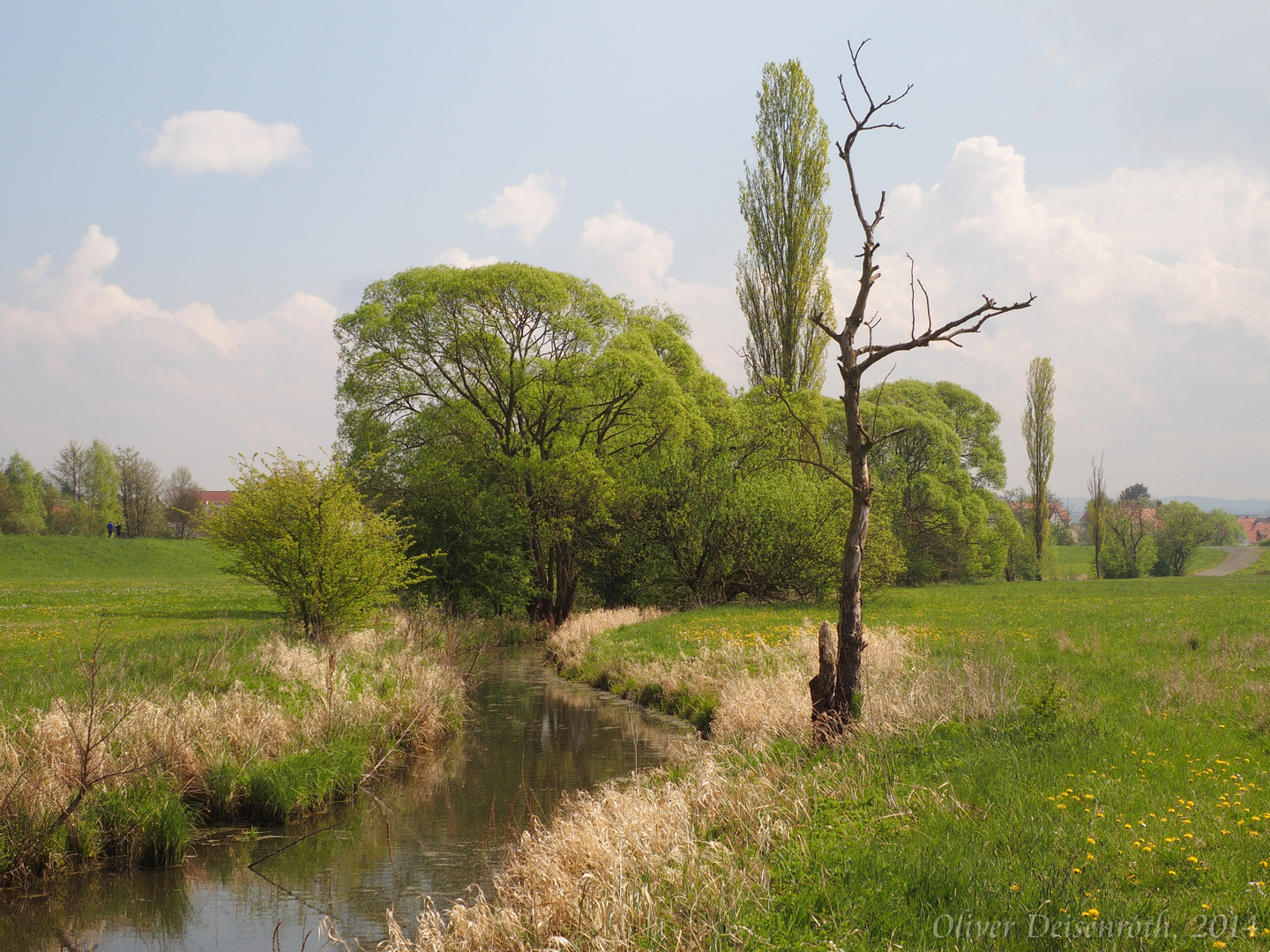 Naturlandschaft Schwalmstadt