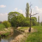 Naturlandschaft Schwalmstadt