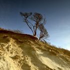 Naturlandschaft ,Steilküste Norddeutschland