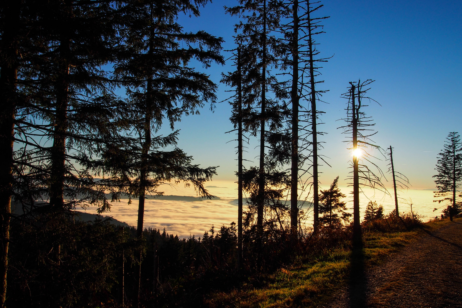 Naturlandschaft über dem Nebelmeer