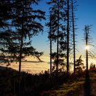 Naturlandschaft über dem Nebelmeer