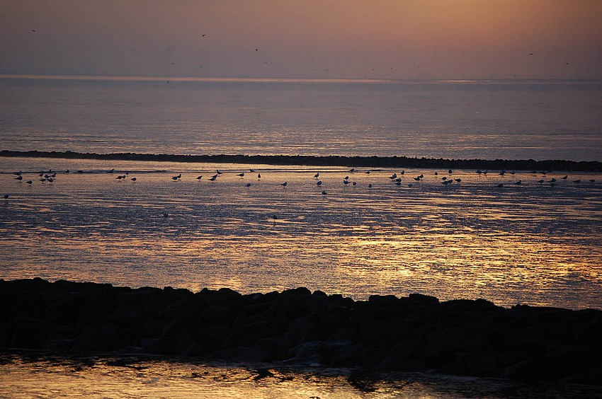 Naturlandschaft Wattenmeer