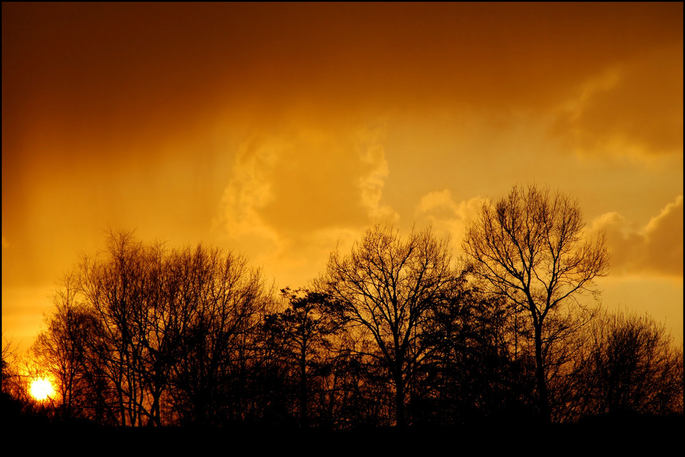 Naturlandschaften bei Nacht