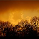 Naturlandschaften bei Nacht