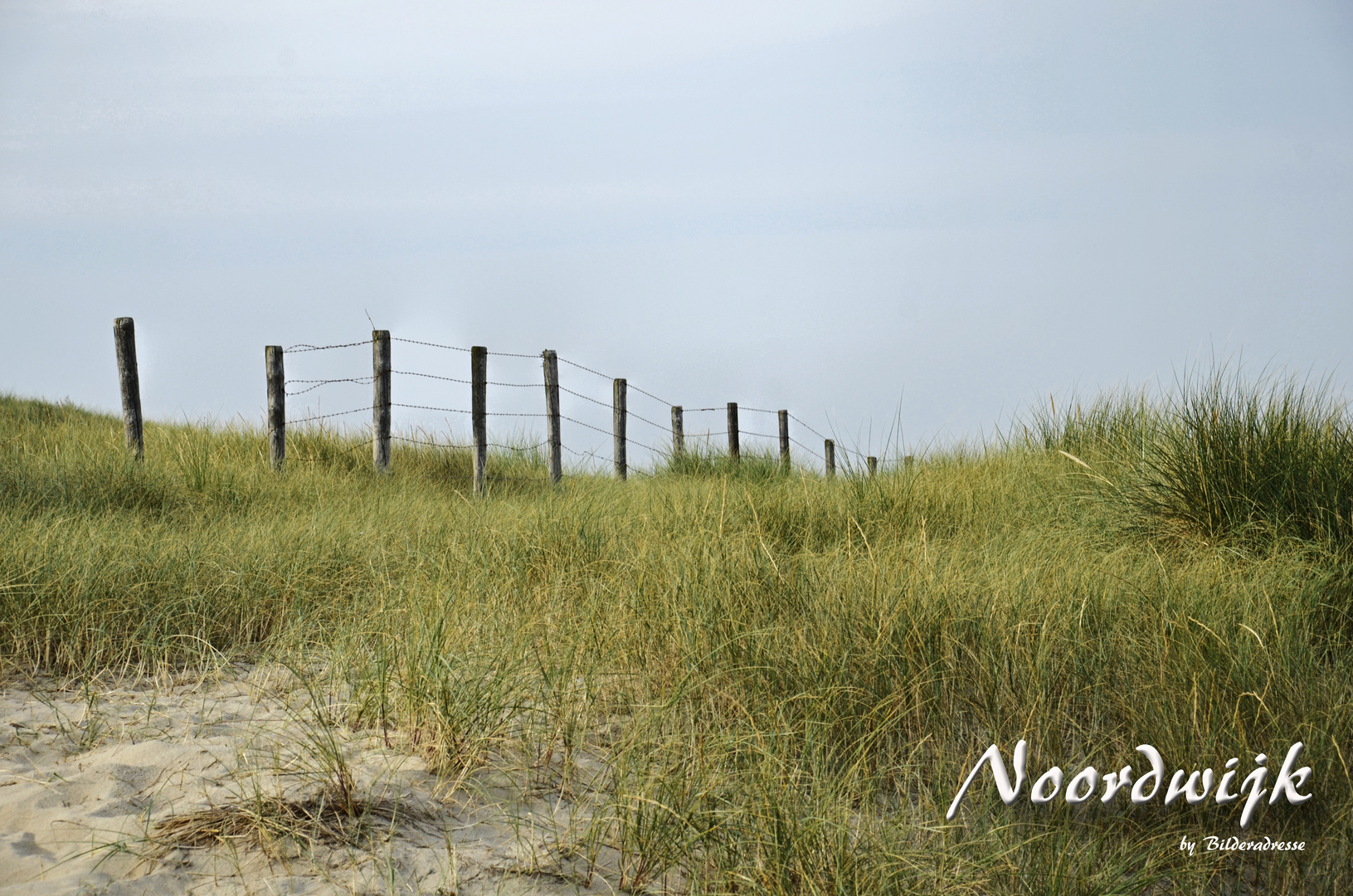 Naturlandschaften in Noordwijk