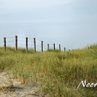 Naturlandschaften in Noordwijk