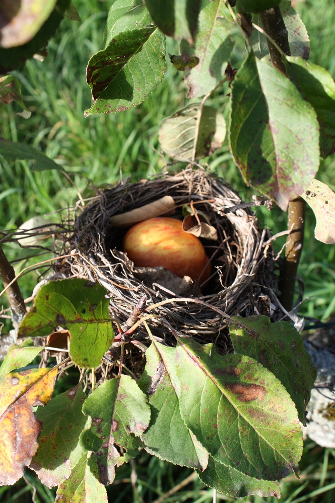 naturLAUNE.. nicht gestellt