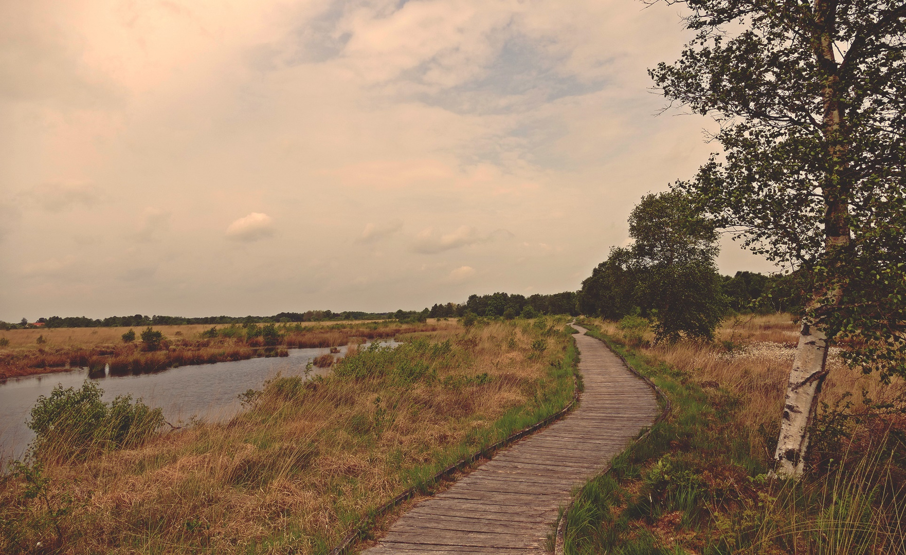 Naturlehrpfad Ewiges Meer....Eversmeer