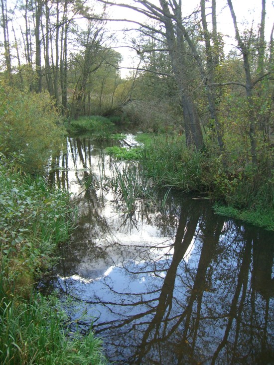 Naturlehrpfad mitten in Berlin