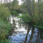 Naturlehrpfad mitten in Berlin