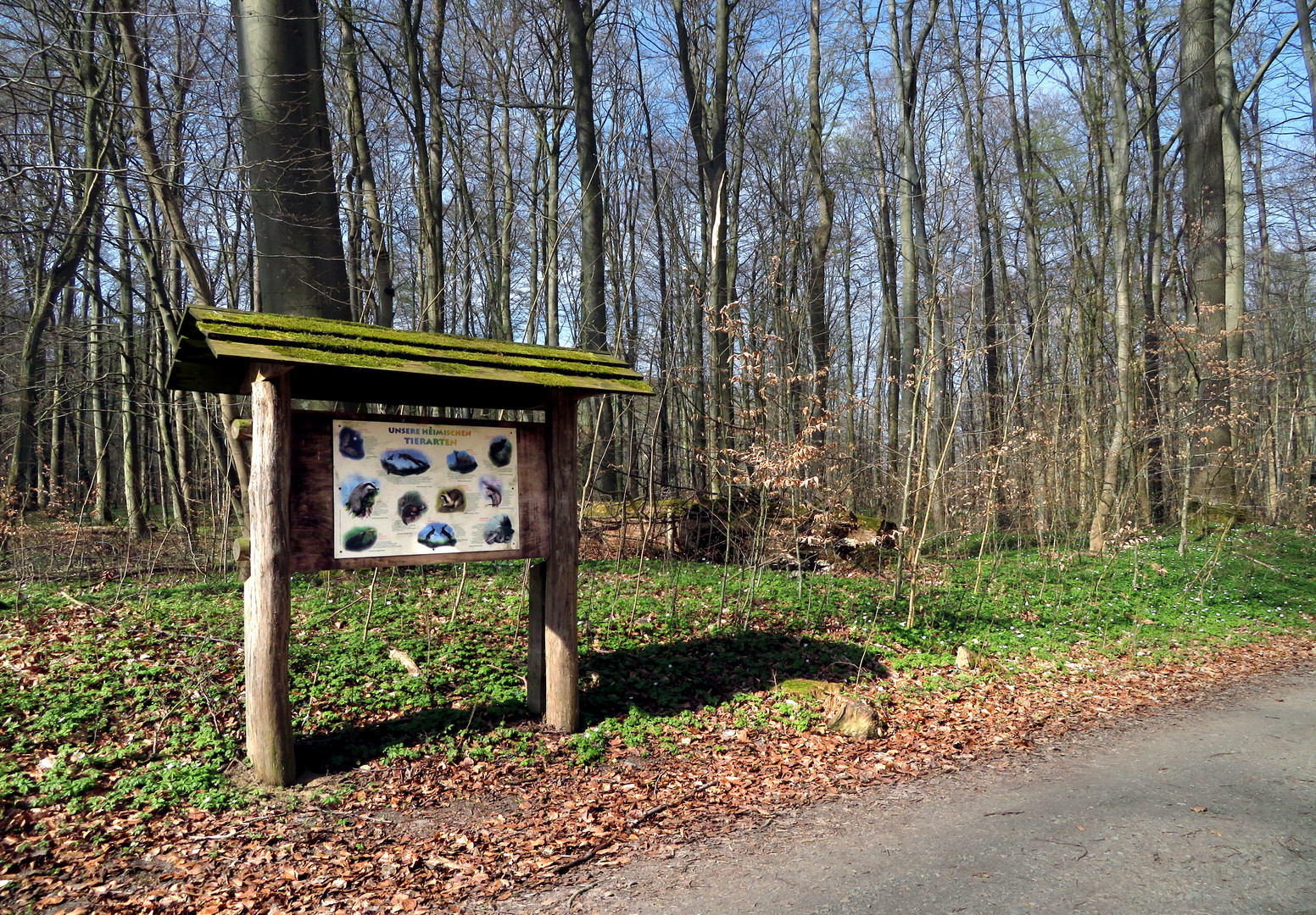 Naturlehrpfad Natur Lehrpfad Elisenhain 2019