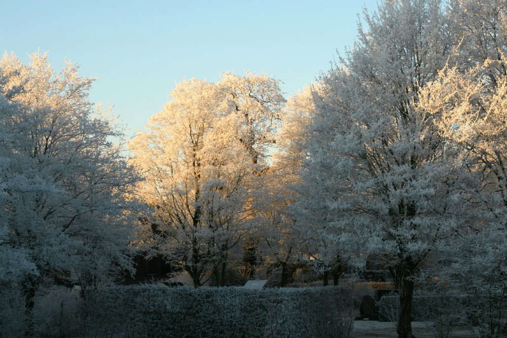 Naturlichtspiel.