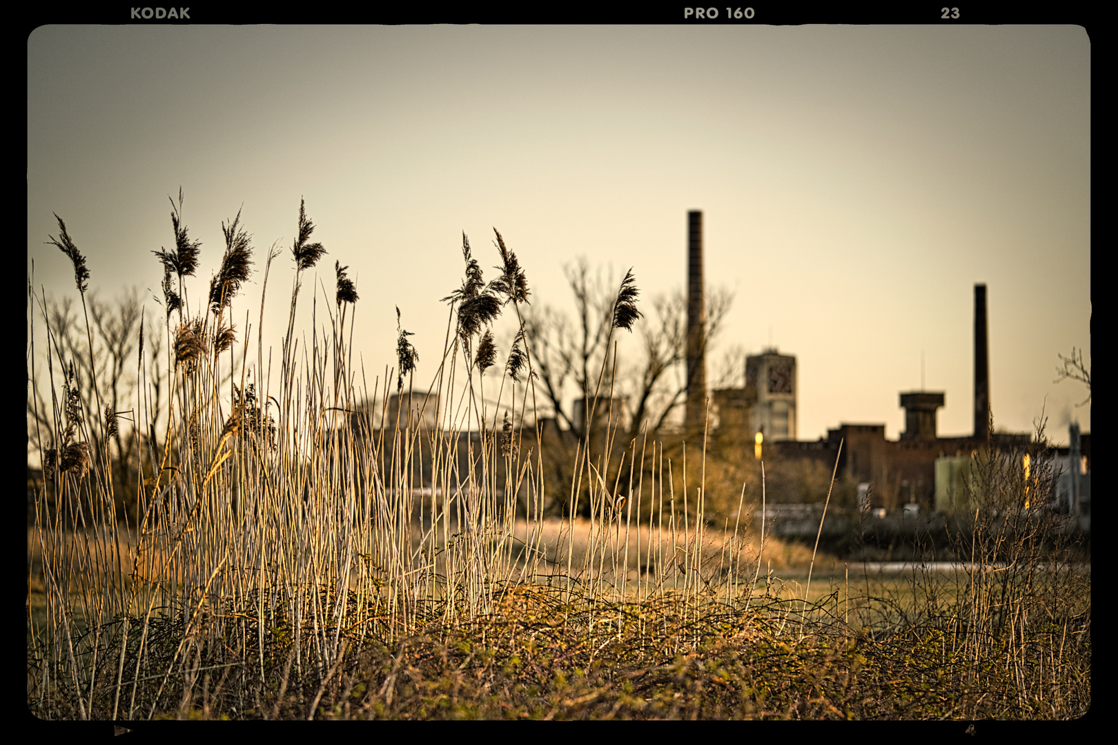 Natur/Mensch