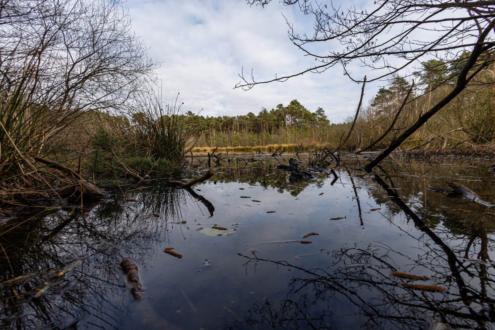 Naturmoor