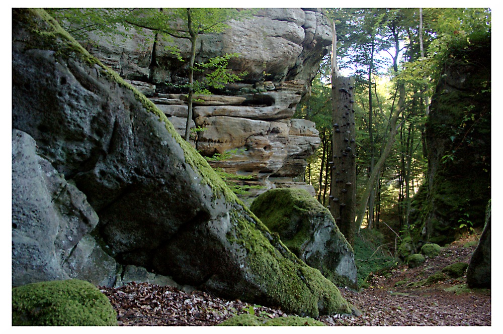 Naturnahe Landschaft