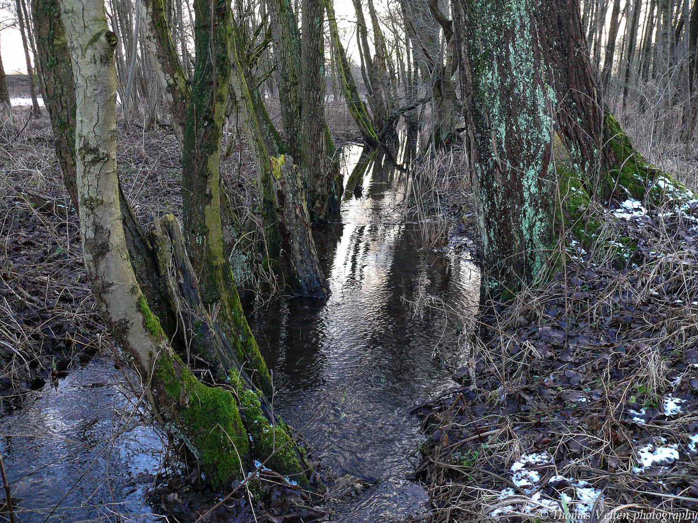 Naturnaher Bachverlauf im Kranenburger Bruch