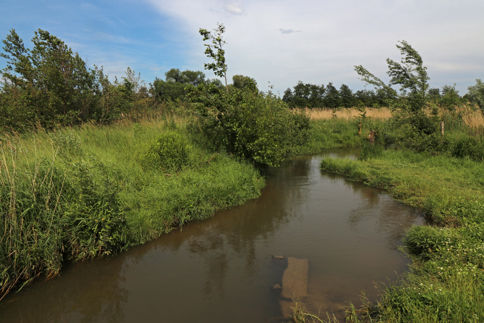 Naturnaher Wasserbau