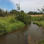 Naturnaher Wasserbau