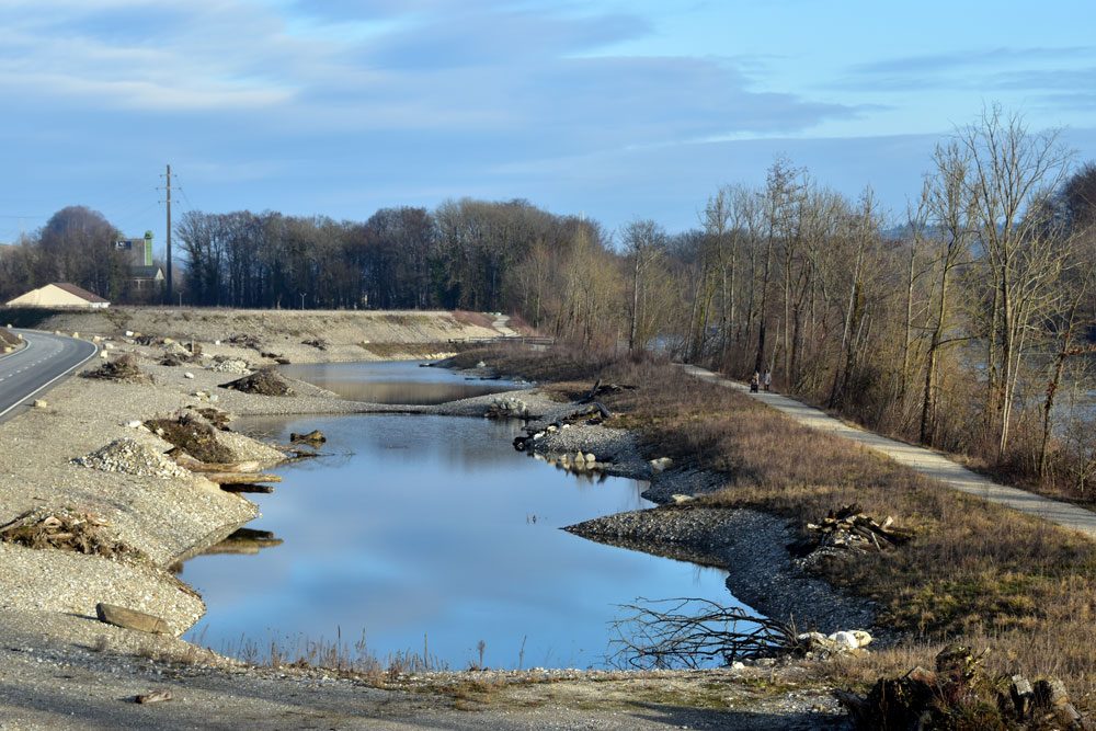 Naturnahes Aareufer