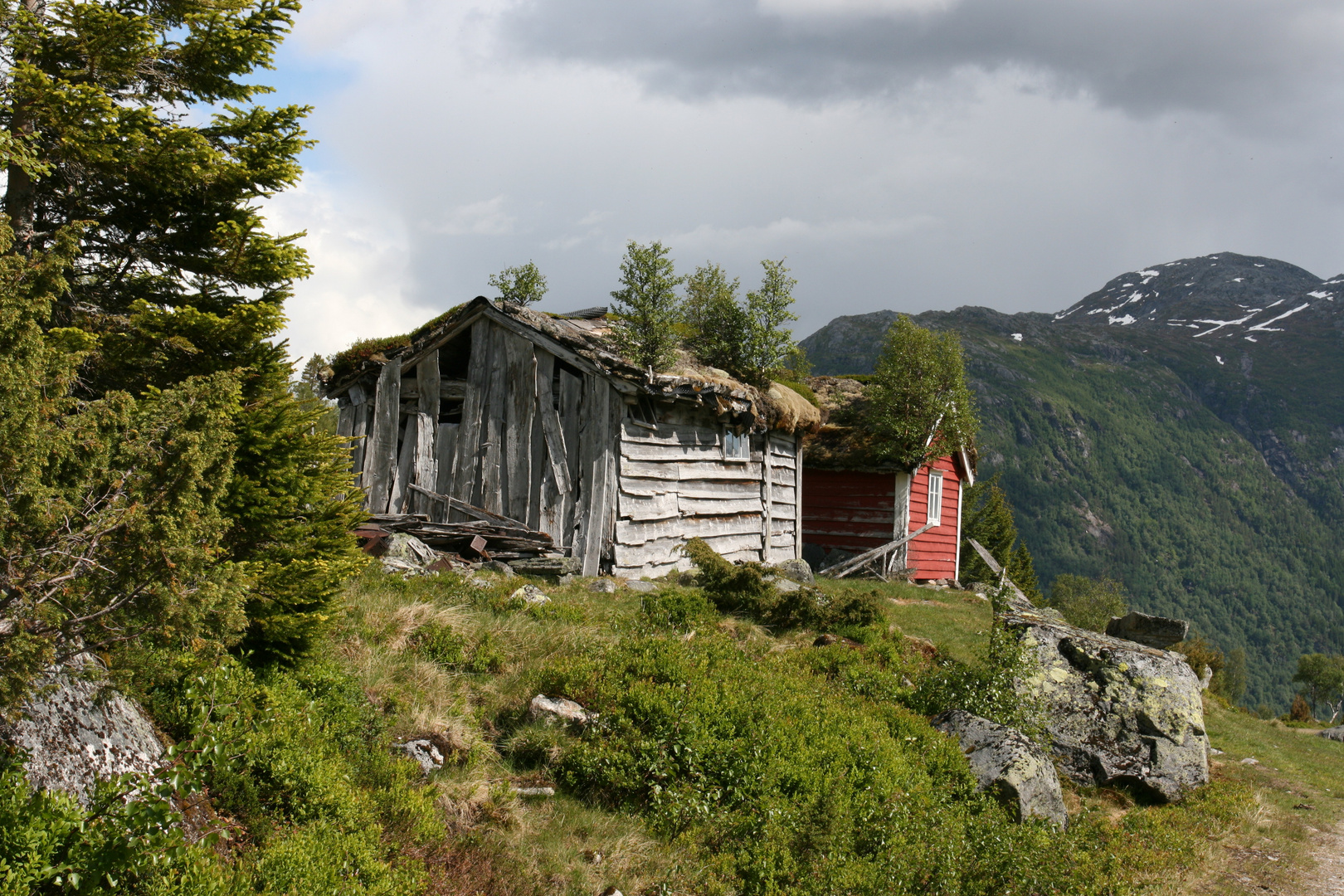 naturnahes Wohnen, Bergalm in Norwegen