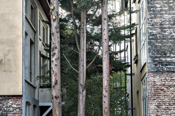 Naturnahes Wohnen ....