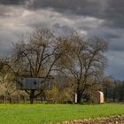 Naturnahes wohnen