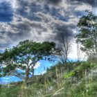 Naturnser Sonnenberg in HDR