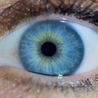 Naturoptik: Auge