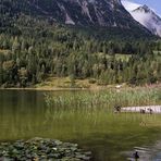 Naturparadies am Ferchensee