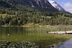 Naturparadies am Ferchensee