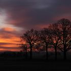 Naturparadies am Morgen