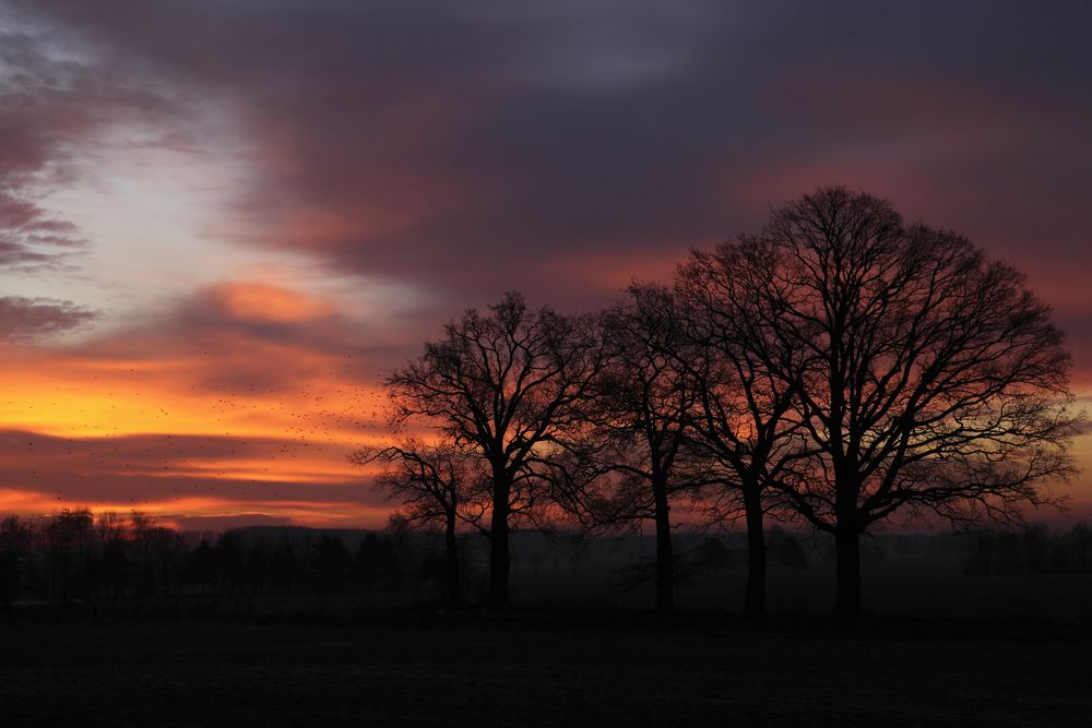 Naturparadies am Morgen