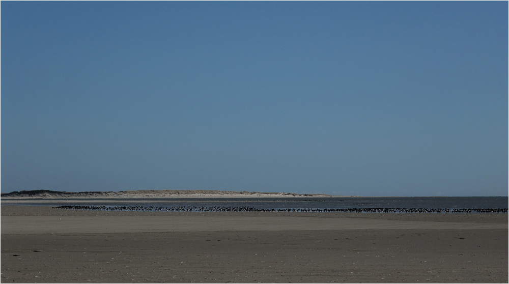 Naturparadies am Ostende von Langeoog