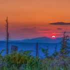 Naturparadies Bayerischer Wald