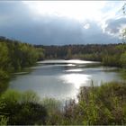 Naturparadies In den Eichen (I) - Kiesteiche Umgebung Polle a.d. Weser