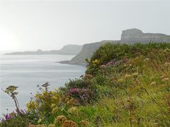 Naturparadies Insel Sky