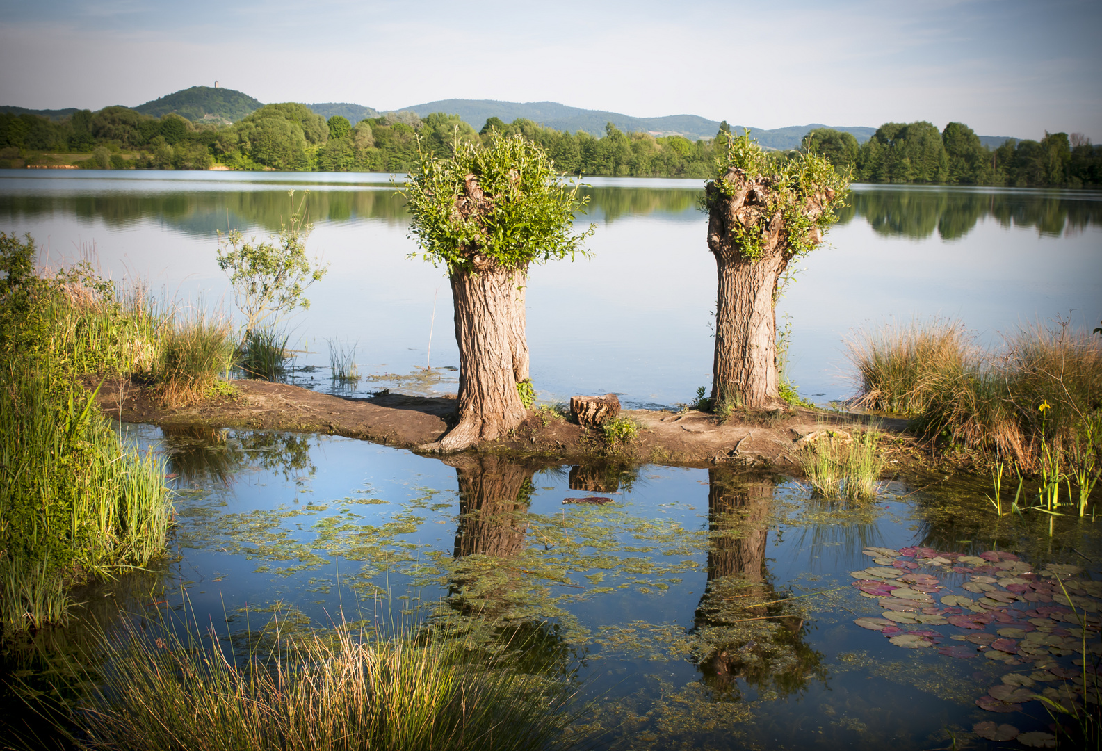 Naturpark