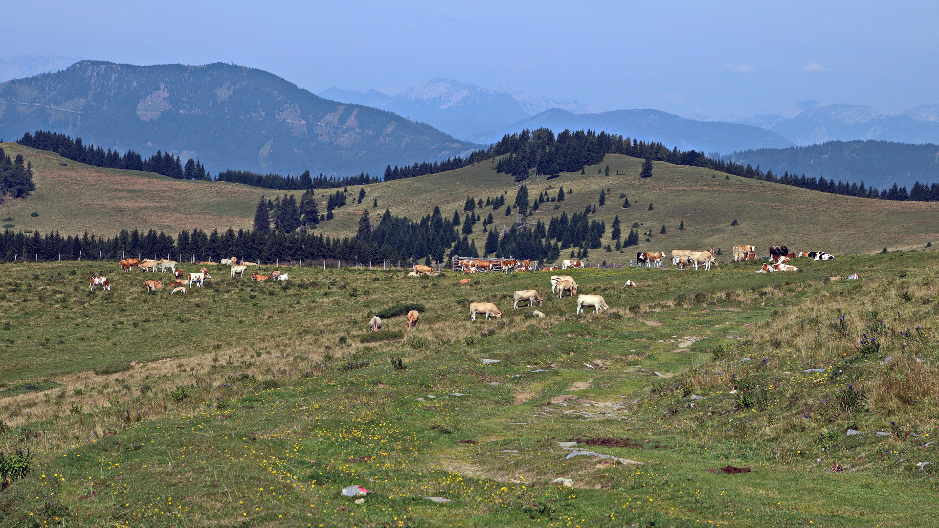 Naturpark Almenland