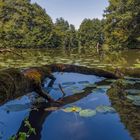 Naturpark Altmühl