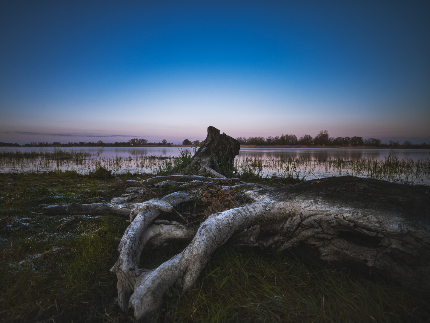 Naturpark am Oderbruch