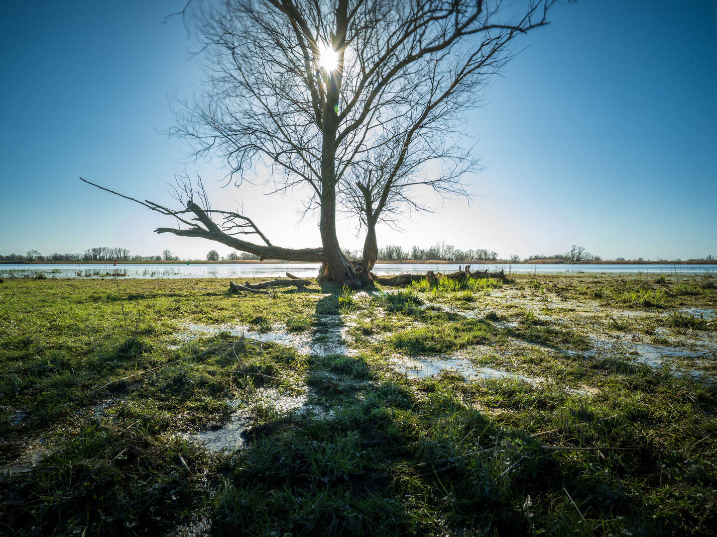 Naturpark am Oderbruch