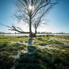 Naturpark am Oderbruch