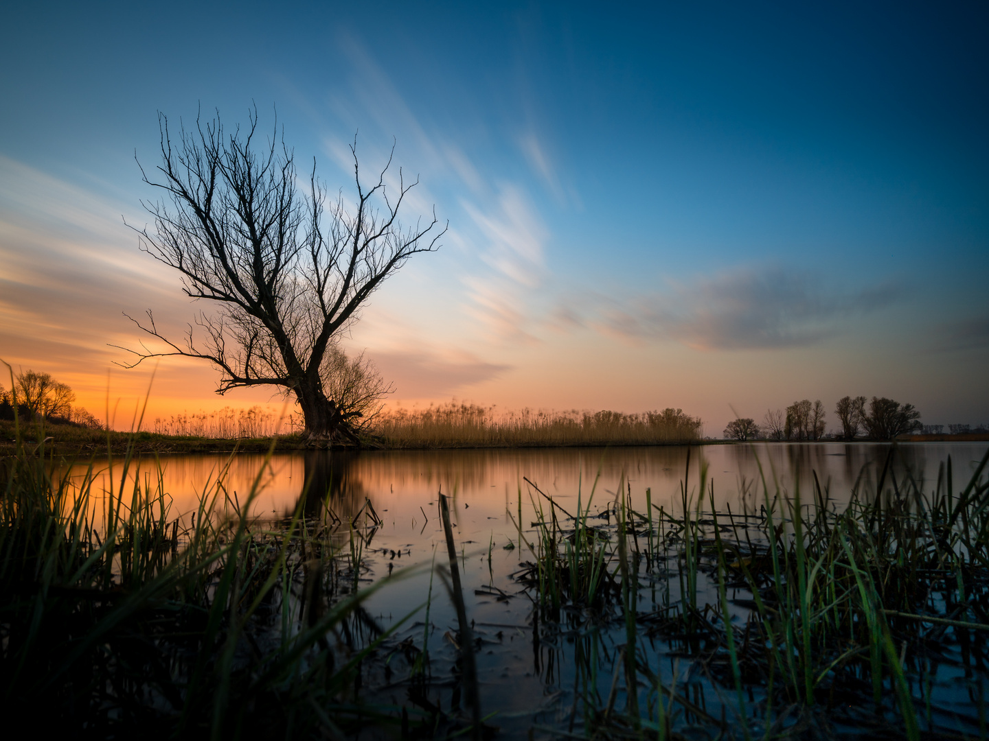 Naturpark am Oderbruch