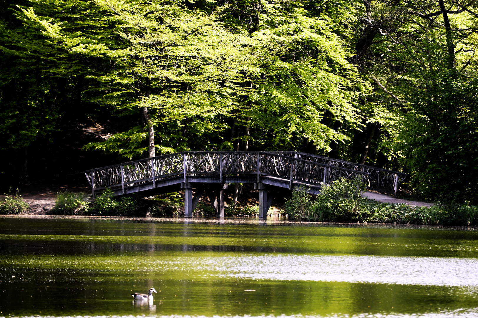 Naturpark Bagno 