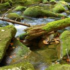 Naturpark Bayrischer Wald