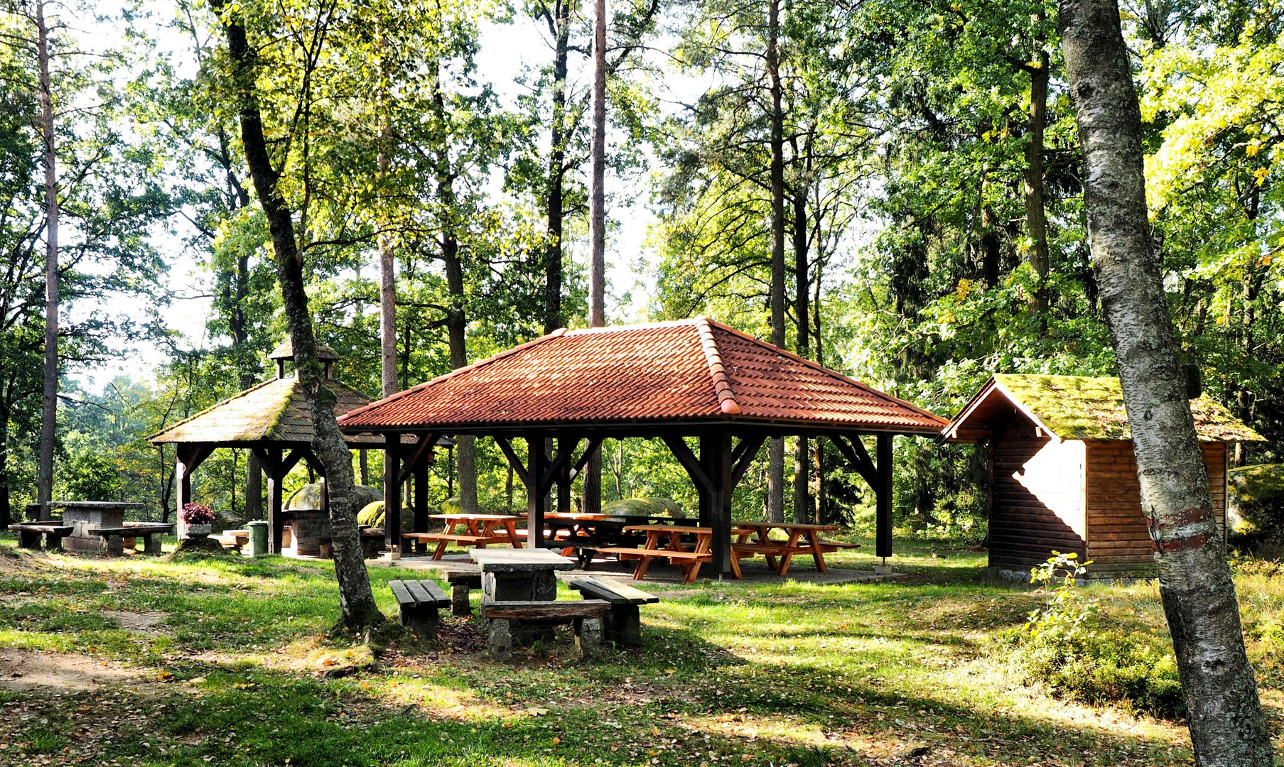 Naturpark Blockheide (1)