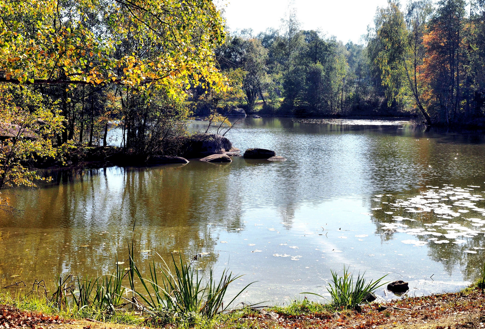 Naturpark Blockheide (5)